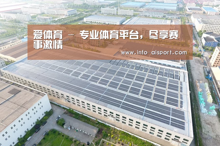 案例展示二