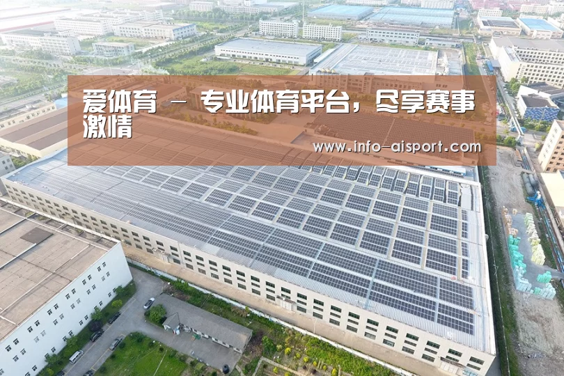 案例展示一