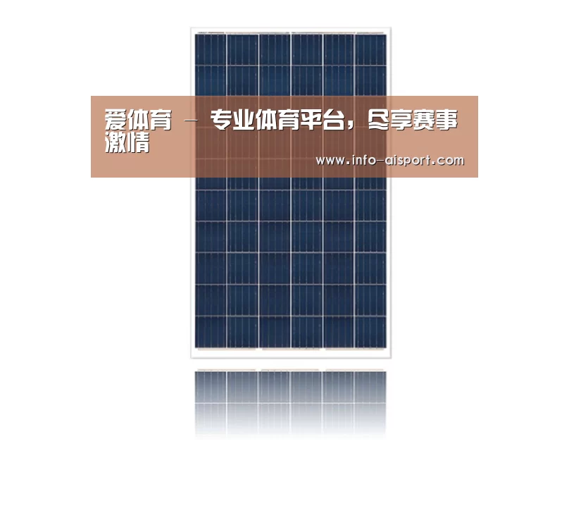 产品名称一