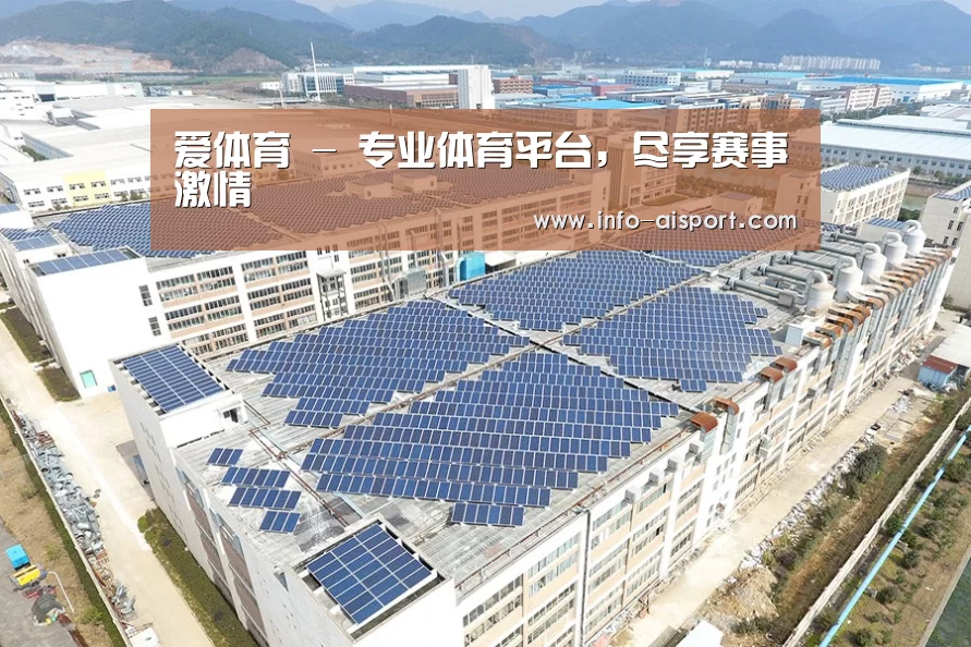 案例展示三