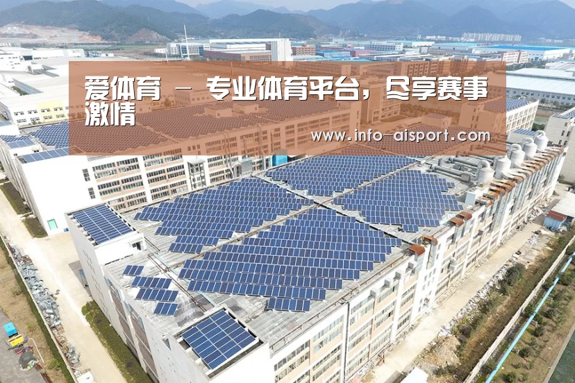 案例展示二