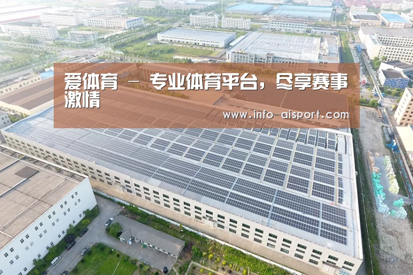 案例展示二