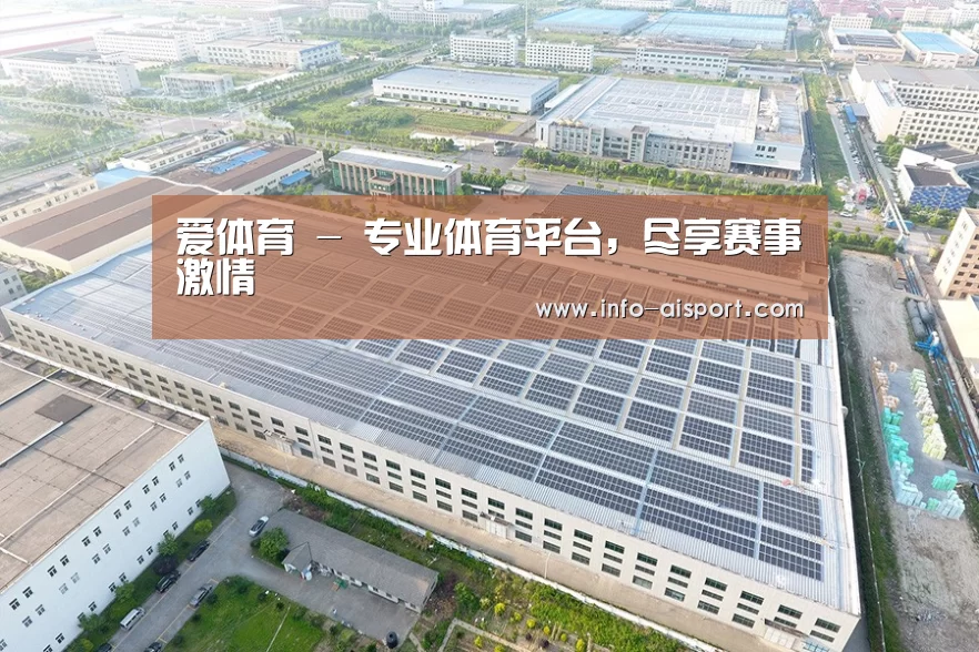 案例展示三