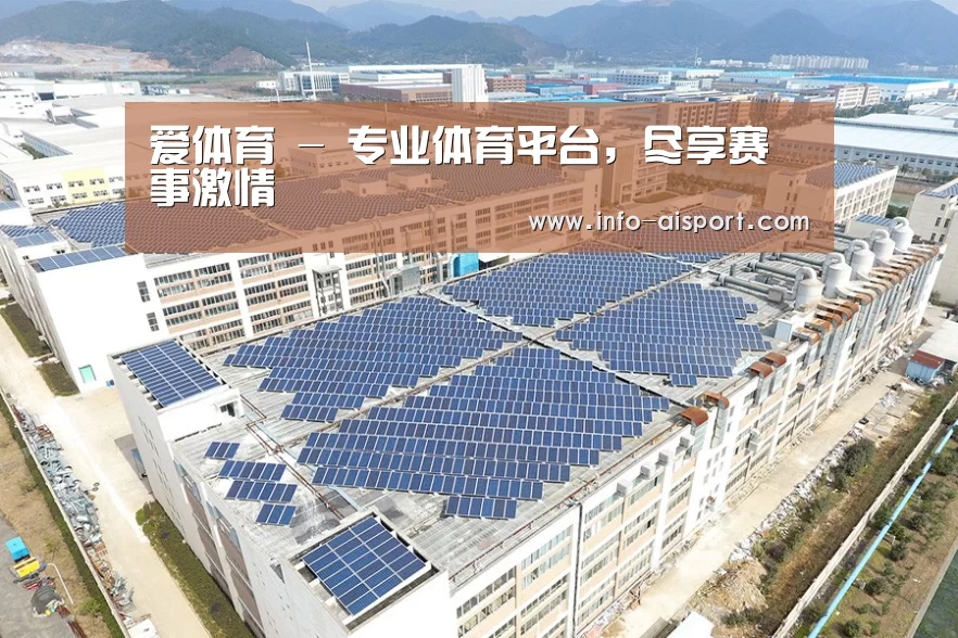 案例展示四