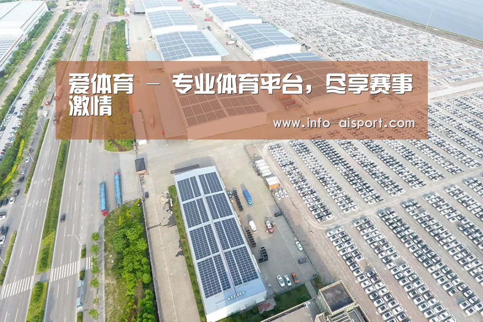 案例展示四