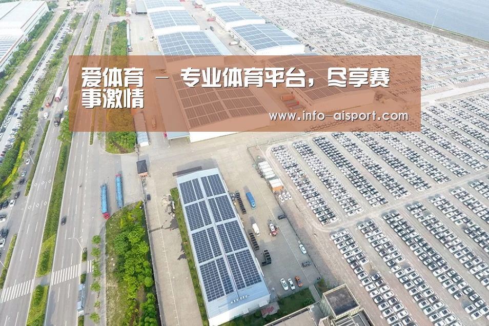 案例展示三