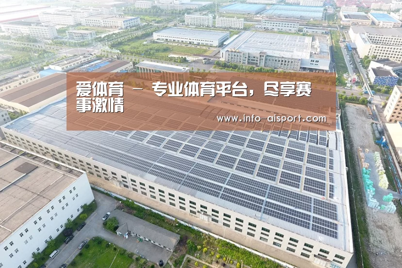 案例展示四