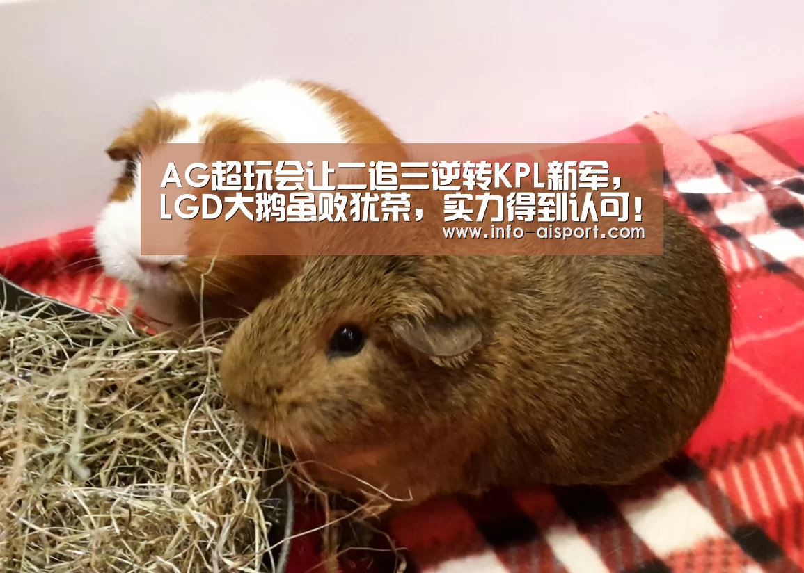 AG超玩会让二追三逆转KPL新军,LGD大鹅虽败犹荣,实力得到认可!-爱体育(图1) 爱体育App